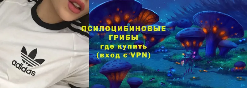 Галлюциногенные грибы Magic Shrooms  где можно купить   Алупка 